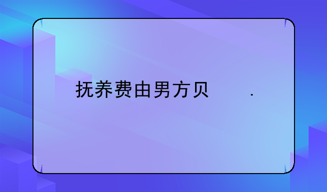 抚养费由男方负担