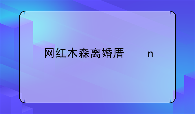 网红木森离婚原因