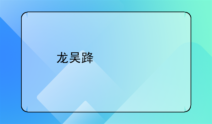 龙吴路大修
