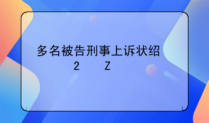 多名被告刑事上诉状经典范文