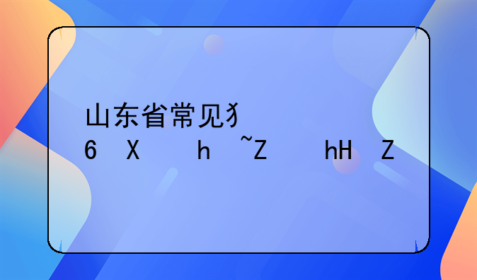 山东省常见犯罪量刑指导意见