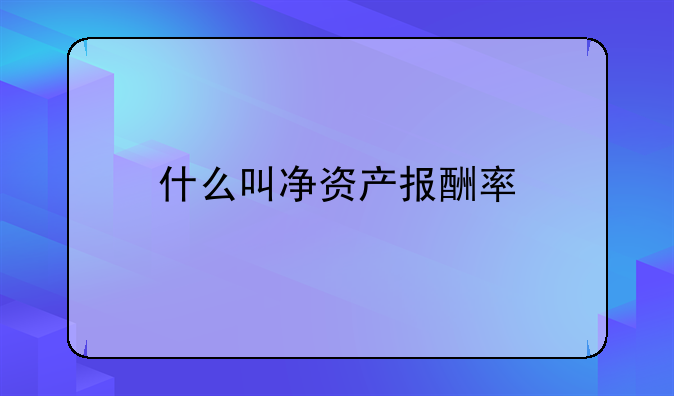 什么叫净资产报酬率