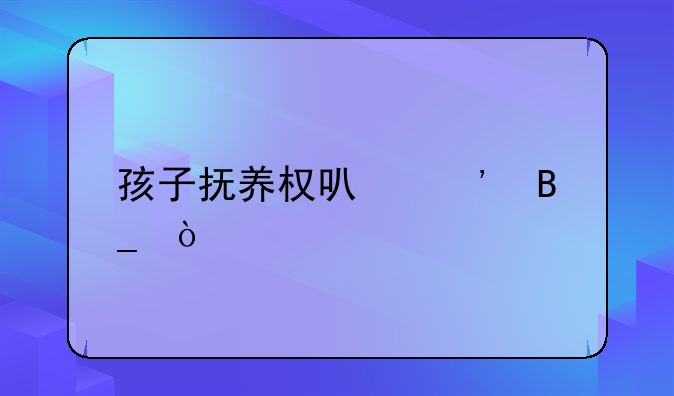 孩子抚养权可诉吗？