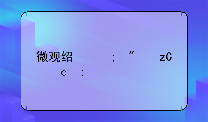 微观经济分析题探讨
