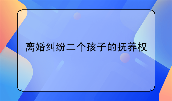 离婚纠纷二个孩子的抚养权
