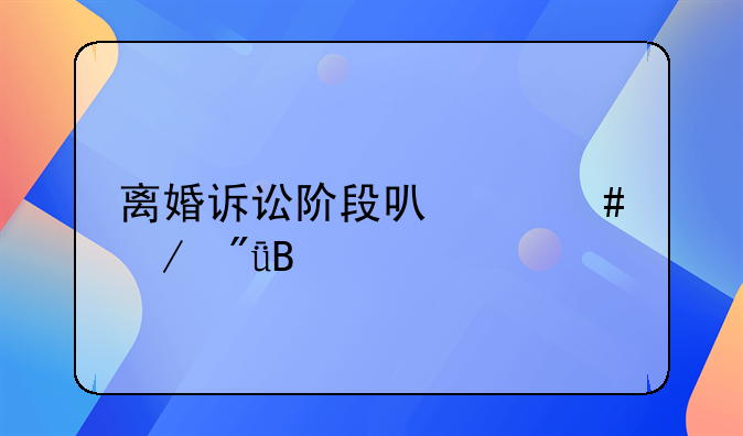 离婚诉讼阶段可以谈恋爱吗