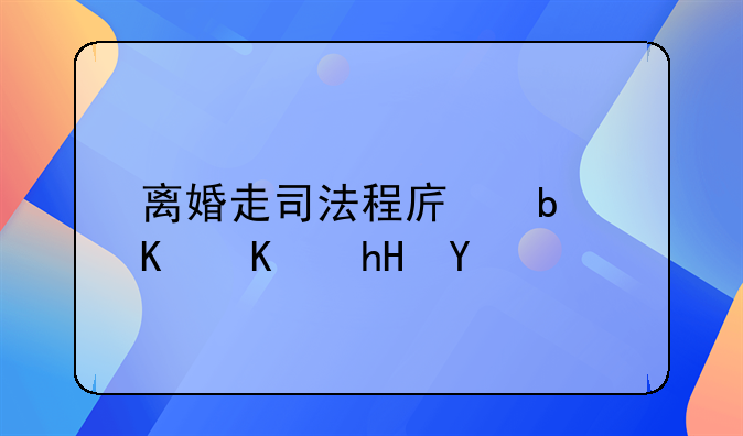 离婚走司法程序是什么意思