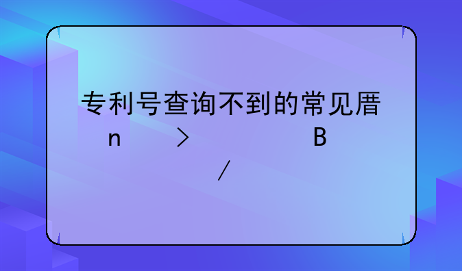 专利号查询不到的常见原因及处理流程详解