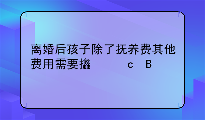 离婚后孩子除了抚养费其他费用需要支付吗