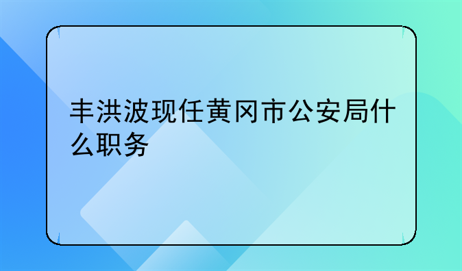 丰洪波现任黄冈市公安局什么职务