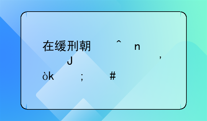 在缓刑期间因欠钱被起诉会怎么样