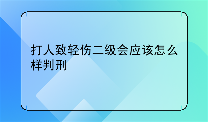 打人致轻伤二级会应该怎么样判刑