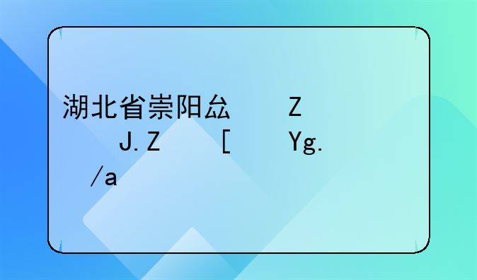 湖北省崇阳县新建路财富广场房价