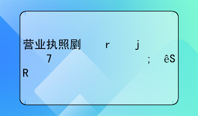营业执照副本的重要性与应用详解