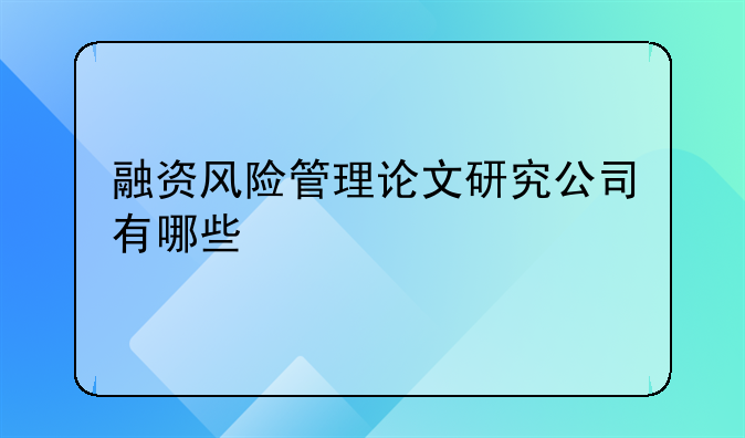 融资风险管理论文研究公司有哪些