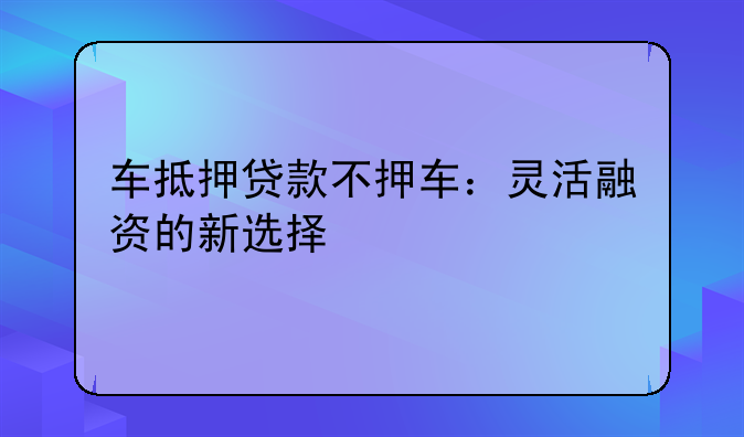 车抵押贷款不押车：灵活融资的新选择