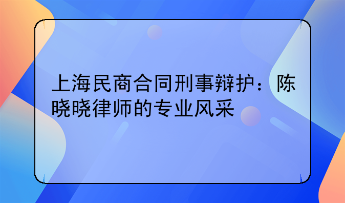 上海民商合同刑事辩护：陈晓晓律师的专业风采