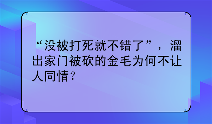 “没被打死就不错了”，溜出家门被砍的金毛为何不让人同情？